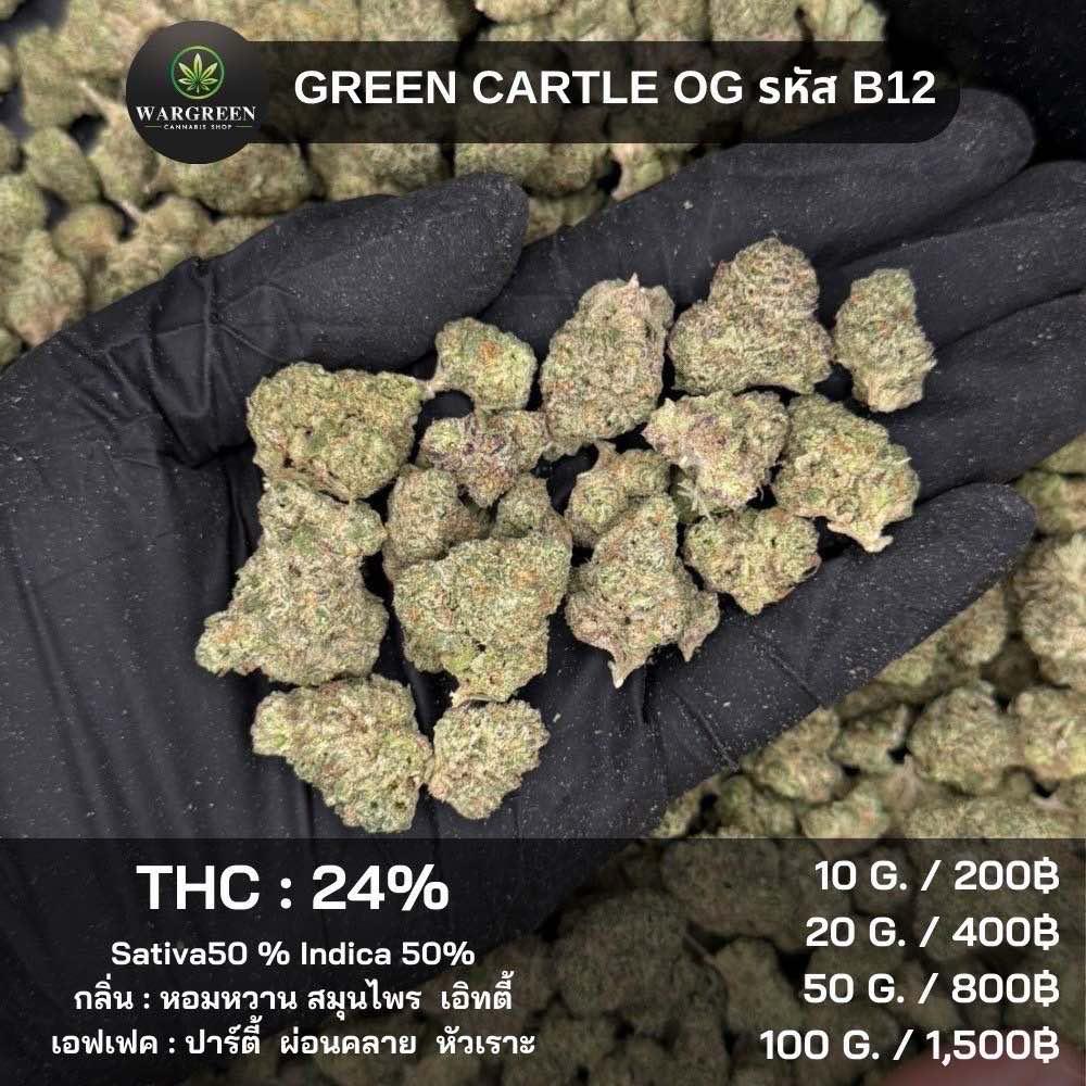 THE : 24%