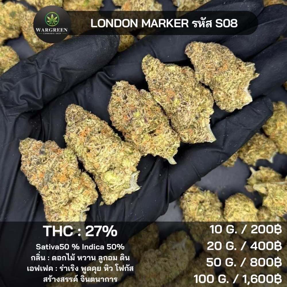 TGZ 30 %