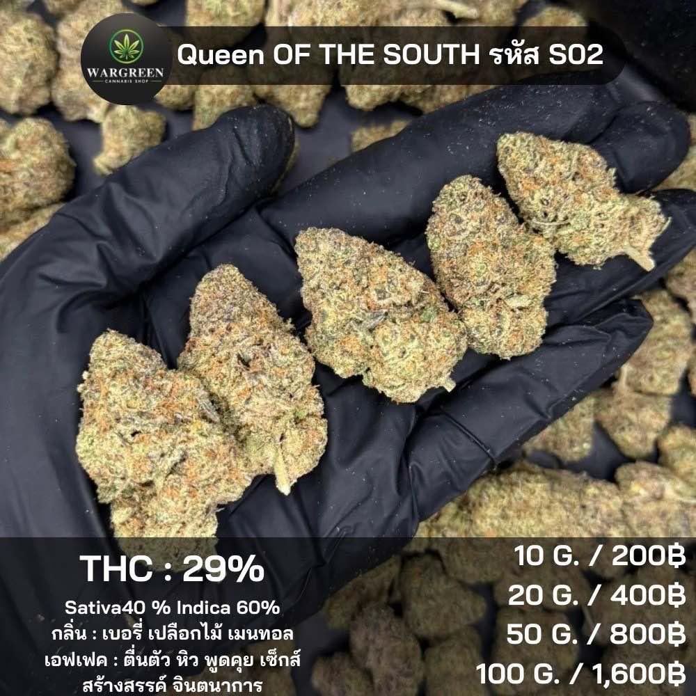 the 29 %